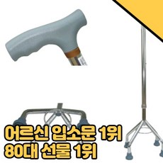 베리굿즈모음 노인 보행기 보조기 70대선물 걸음, 1개