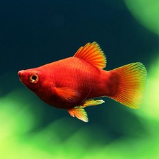 878903eb1c8b3fa61066ff8d85cd813f7aec7b77fc0330eebacfdfb06131.jpg