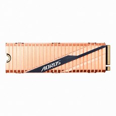 GIGABYTE AORUS SSD M.2 2280 (1TB), 옵션없음, 옵션없음