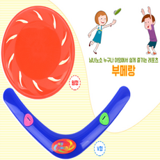 잘돌아오는부메랑