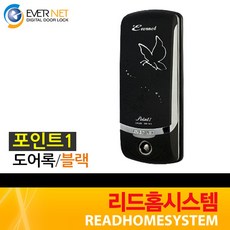 에버넷포인트2
