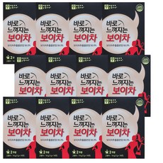 애플트리 김약사네 바로느껴지는 보이차 12박스 (24주분), 14포, 14g