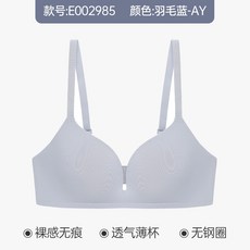 트라이엄프앞후크