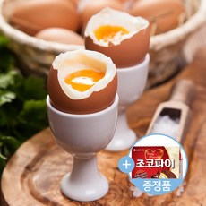 한샘계란
