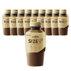 로라메르시에사이즈업25주년