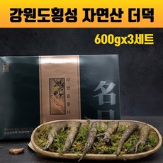 더덕 선물세트 100% 국내산 야생더덕 생더덕 강원도 횡성더덕 엄격한 품질관리 자연 그대로 야생의더덕 산지직송 겨울더덕 기력회복 효능 더덕주 더덕무침 더덕구이 고급포장 황금보자기 부모님 지인 명절 새해 선물 추천, 3세트, 600g