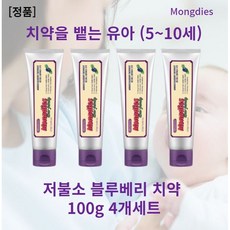 몽디에스블루베리치약