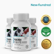[초고농축] 뉴헌드레드 락토페린 더블코팅 6000 120정, 3통 - 7% 추가할인, 3개