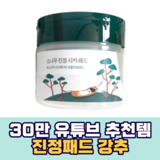 독도패드