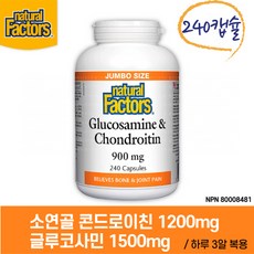 소유래콘드로이친