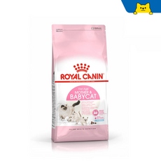 로얄캐닌캣-추천-상품