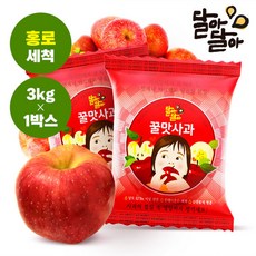 달아달아밝은달아