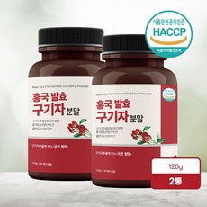 유산균발효구기자