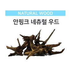 안핑크 네츄럴 우드(소) 10~20cm /레어유목 나나활착 모스활착 뿌리