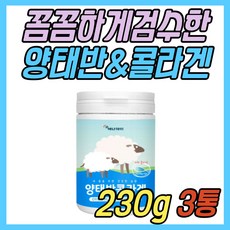 정자파는곳