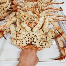 킹크랩 러시아 동해 속초 최상급 초대형 자숙킹크랩 3kg ~ 4kg, 1박스, 킹크랩 3KG