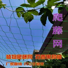 기어오르기 견인 베란다 등나무 그물을 심다 가드닝 식물 백 향이 가득했다 전용 덩굴을, 6메터 *8메터