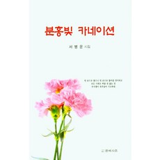 서병익오디오차폐트렌스