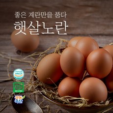 알부자집