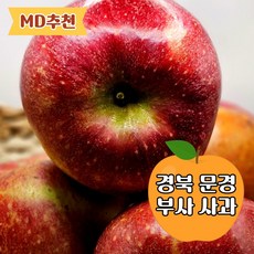 [농장 직송] 부사 사과 문경 청송 최고당도 꿀사과 선물용 가정용, 1박스, 부사  5kg(중 18과 내외)