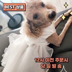 올어바웃펫 강아지 옷 웨딩촬영 드레스 반려견 반려묘, 반려동물 웨딩드레스S, 1개