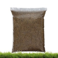 장수풍뎅이애벌레키우기