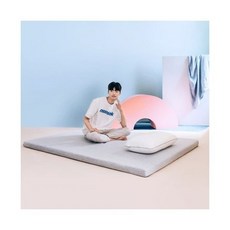 프로젝트슬립토퍼