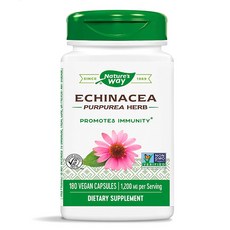 네이쳐웨이 Echinacea 에키나시아 1200mg 식물성 180캡슐, 1개, 180개