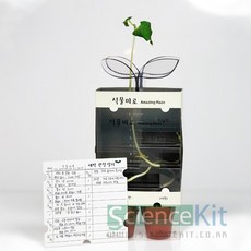 코딩키트식물