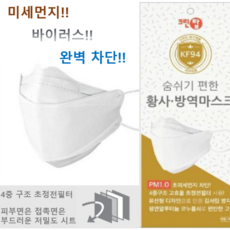 에버그린코리아