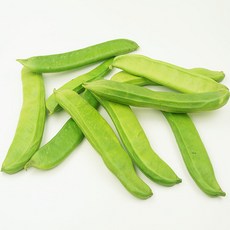 생작두콩