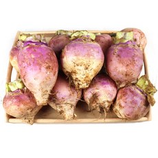 산지직송 강화도특산물 순무 강화생순무, 강화도 순무10kg, 1박스, 10kg