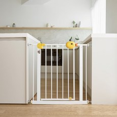 플라잉덕안전문