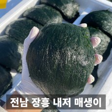 프리미엄 채취 전라남도 장흥 내저 매생이, 10개, 120g