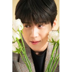 갯마을차차차굿즈