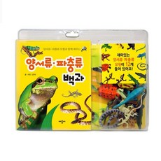 감성홈 모형백과-양서류파충류(1EA) 유아스티커 유아미술 색칠놀이 색칠공부 유아장난감+_+감성+살롱+_+, 감성☆본품홈
