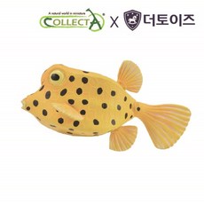 컬렉타흰긴수염고래