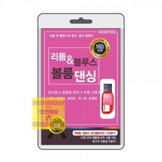 차량용음악