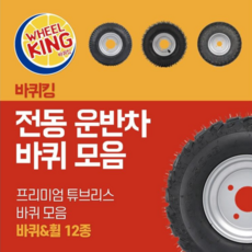 전동차타이어 TOP01