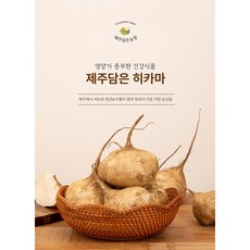 제주담은농장 히카마(멕시코감자), 3KG, 1개