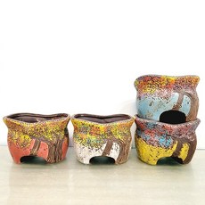 행복한꽃그릇다육이화분