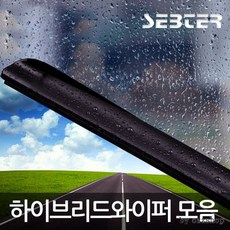 카니발24인치