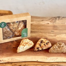 비건스콘클래스