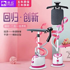 아이스티머스팀다리미