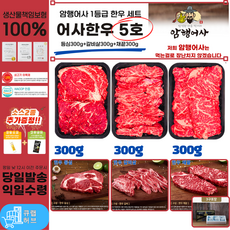 [큐랩허브] 암행어사 한우 1등급 선물세트 어사한우 5호-/등심/갈비살/채끝 [원산지:국산], 1세트