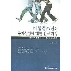 비행청소년의 문제상황에 대한 인식 과정, 한국학술정보, 한영옥 저