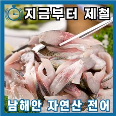 거제도순자네 자연산 전어 제철 전어회 구이 세꼬시 필렛, 1개, 세꼬시500g(4-9미)