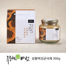 목질진흙 상황버섯 분말 가루 차 펠리누스린테우스 면역 365 국산 뽕나무 상항버섯 균사체 추출물 뽕나무 365 분말 가루 물 효능, 단일상품