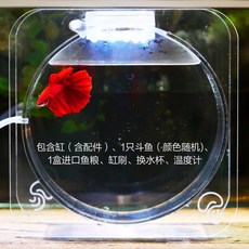 c522f6aae9348ea5c7bc667ebdc08b0a5014730a3f56cb10a9d7d20d0e87.jpg