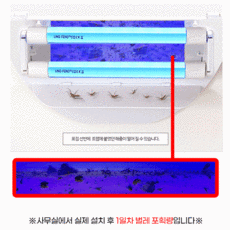 다잡스